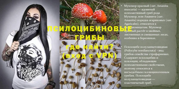 mdpv Абдулино