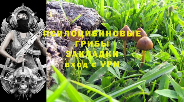 тгк Абинск
