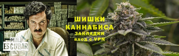 винт Абаза