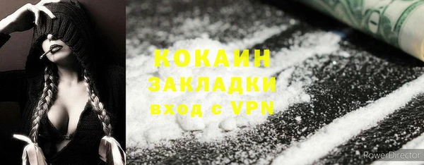 винт Абаза