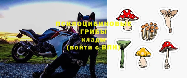тгк Абинск