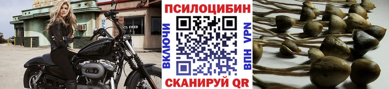omg как зайти  сколько стоит  Заволжье  Псилоцибиновые грибы мухоморы 